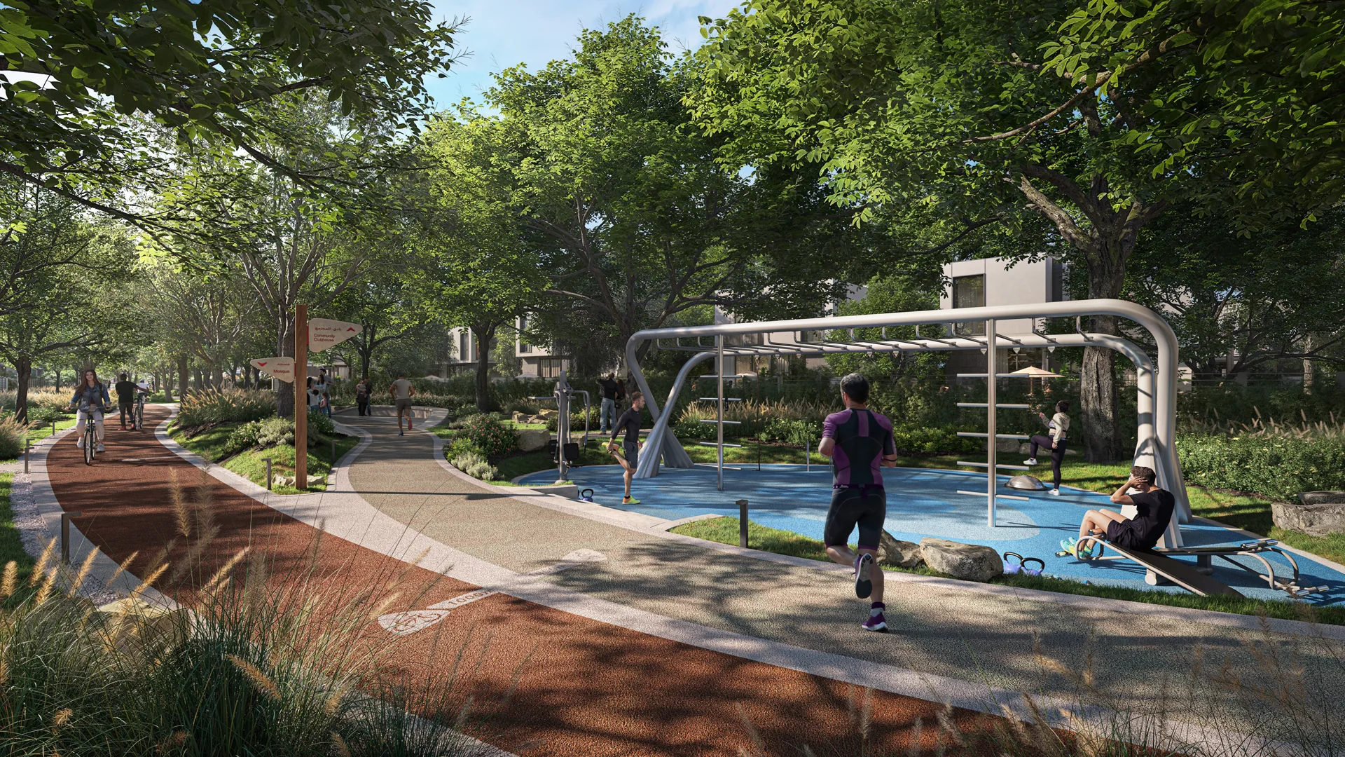 Athlon basketball — architectural illustration